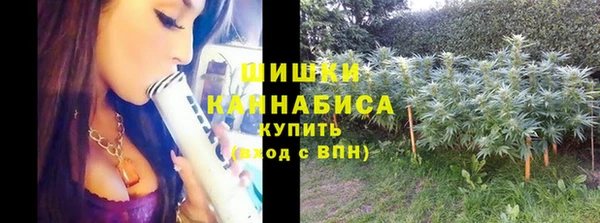 винт Касимов