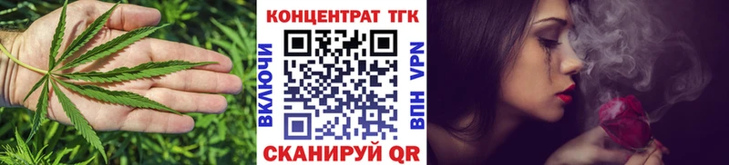 Купить закладки  Елизово  ТГК гашишное масло 