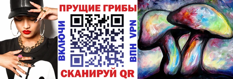 Купить  Елизово  Псилоцибиновые грибы Psilocybine cubensis 